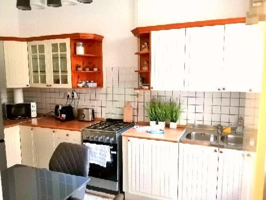 Free Garage Parking, Ac And Bikes In The Downtown Apartment Budapest Bagian luar foto